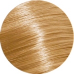 Golden Blonde